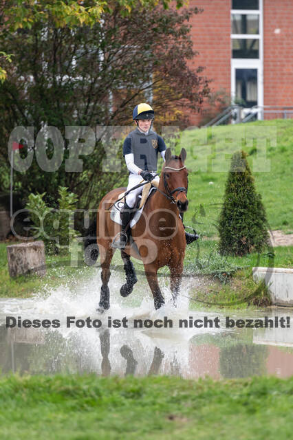 Goldene Schärpe 2020 - Pferde