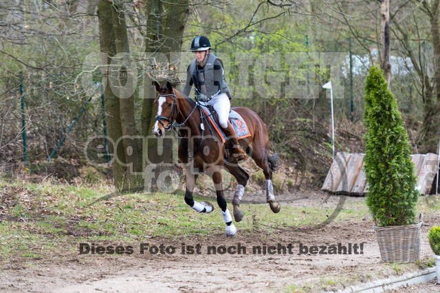Eventing im Pferdesportzentrum Rheinland (Late Entry 14.03.2022)