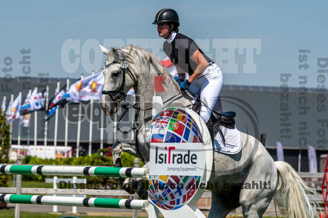 Kronenberg - De Peelbergen (August 2020)