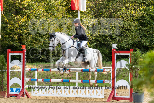 RFV Dinslaken-Hiesfeld (Herbstturnier)