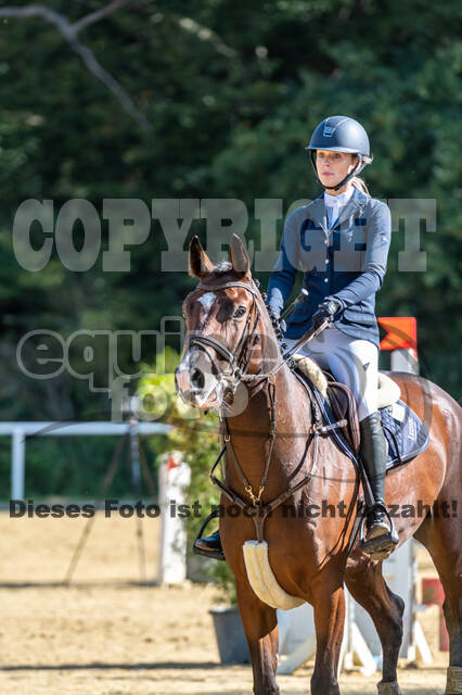 RFV Dinslaken-Hiesfeld (Herbstturnier)