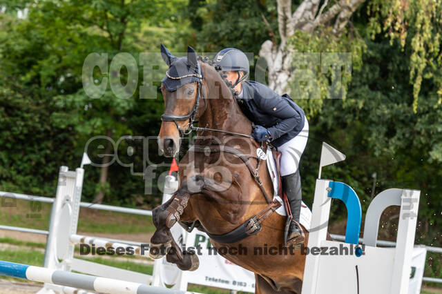 Late-Entry-Vielseitigkeit Langenfeld (06.+07.07.2020)