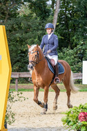Vielseitigkeit RSV Wesel Obrighoven (26.+27.09.2020)