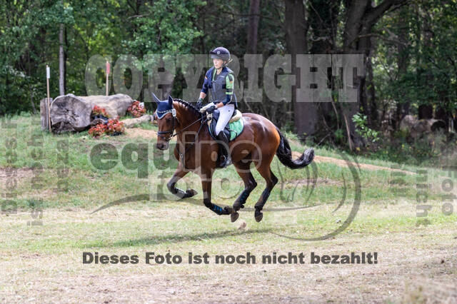 Late-Entry Vielseitigkeit Hamminkeln/Wesel (01.+02.08.2020)