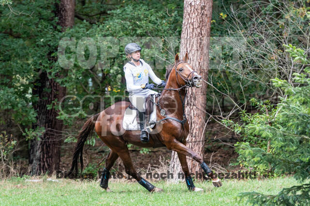 Vielseitigkeit RSV Wesel Obrighoven (26.+27.09.2020)