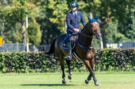 Kronenberg - De Peelbergen (August 2020)