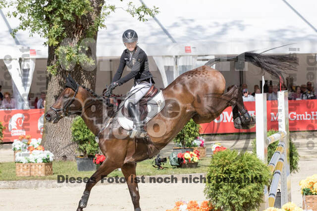 FEI European Championship Eventing 2017