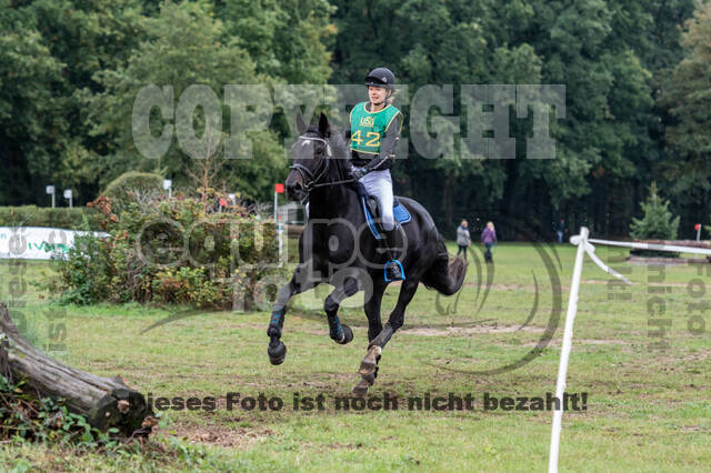 Vielseitigkeit RSV Wesel Obrighoven (26.+27.09.2020)