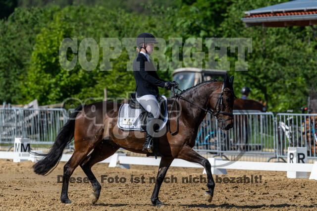 Westerstede Horse Trials 2021