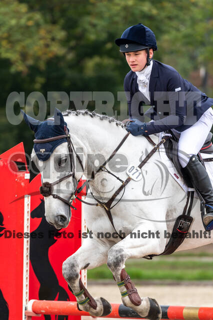 Goldene Schärpe 2020 - Pferde