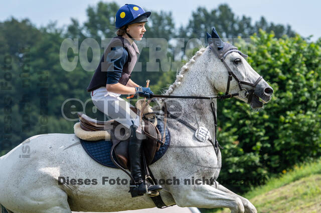 Goldene Schärpe 2021 - Ponys