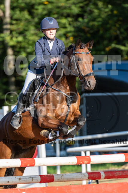 RFV Dinslaken-Hiesfeld (Herbstturnier)