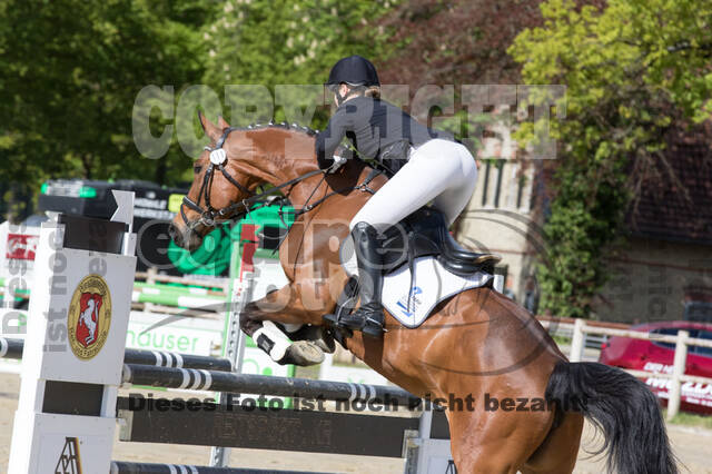 Sterne über Münster 2019 - CCI***S