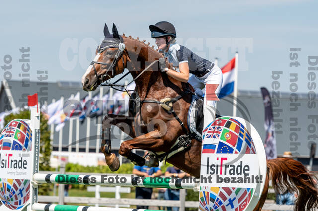 Kronenberg - De Peelbergen (August 2020)