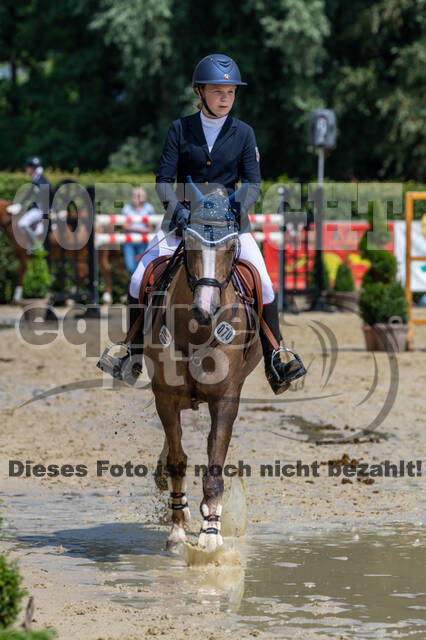Goldene Schärpe 2021 - Ponys