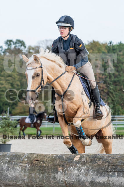 IGV Lehrgang der Sieger der Cups mit Frank Ostholt