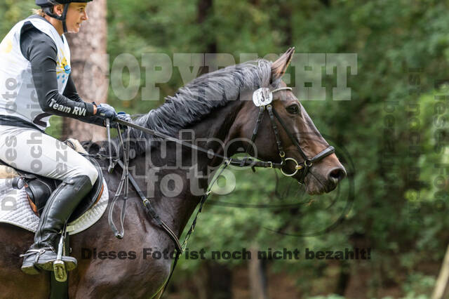 Vielseitigkeit RSV Wesel Obrighoven (26.+27.09.2020)
