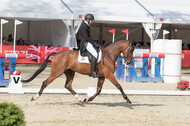 FEI European Championship Eventing 2017