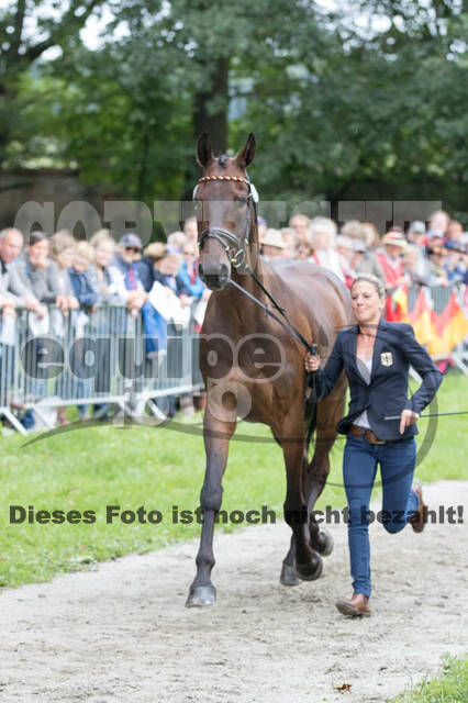 FEI European Championship Eventing 2017