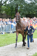 FEI European Championship Eventing 2017