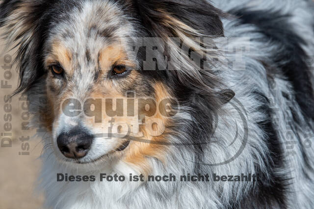 Geländetraining ZRFV Hamminkeln (24+25.04.2021)