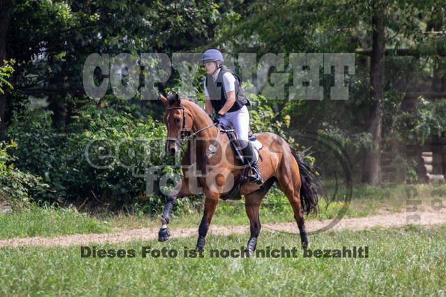 Late-Entry-Vielseitigkeit Gahlen (18.07.2020)