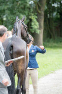 FEI European Championship