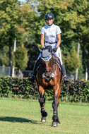 Kronenberg - De Peelbergen (August 2020)