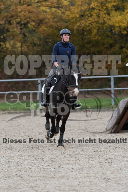 IGV Lehrgang der Sieger der Cups mit Frank Ostholt