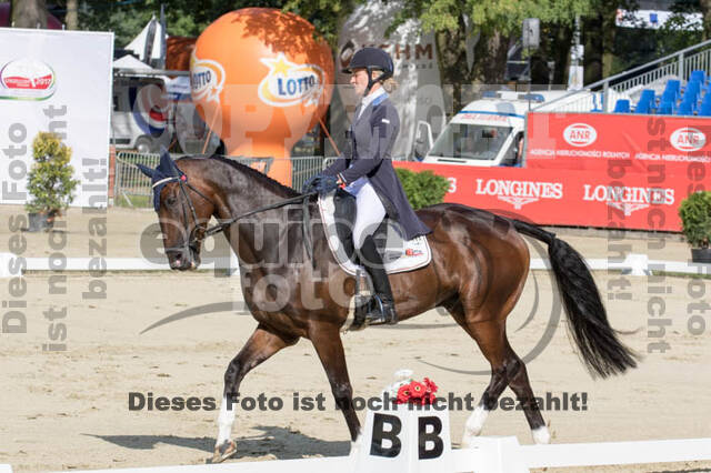 FEI European Championship Eventing 2017