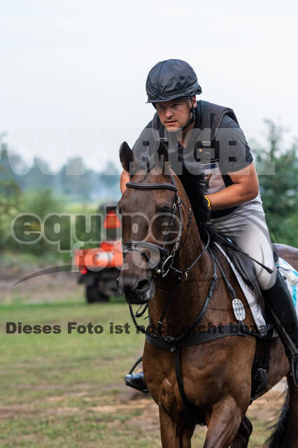 De Peelbergen (August 2020)