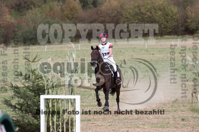 IGV Kleve