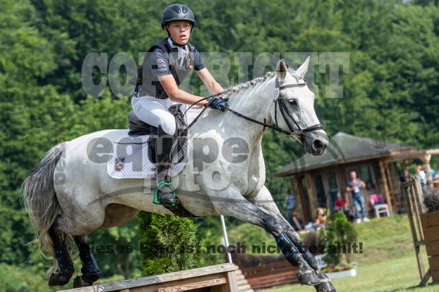 Goldene Schärpe 2021 - Ponys