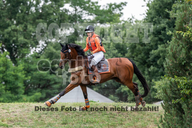 Late-Entry-Vielseitigkeit Langenfeld (11.+13./14.06.2020)