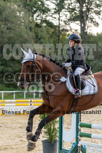 RFV Dinslaken-Hiesfeld (Herbstturnier)