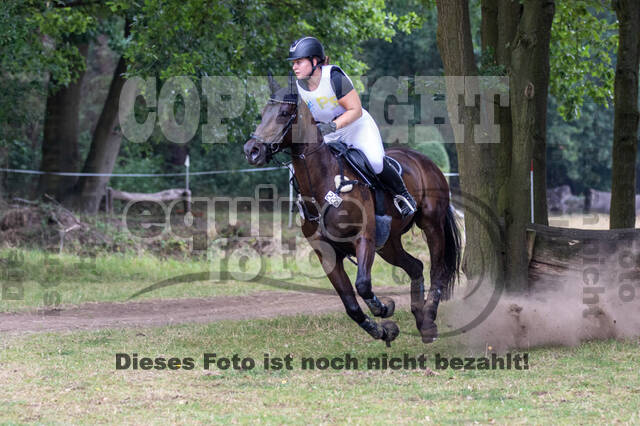 Late-Entry Vielseitigkeit Hamminkeln/Wesel (01.+02.08.2020)