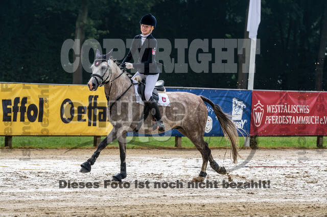 Goldene Schärpe 2021 - Ponys