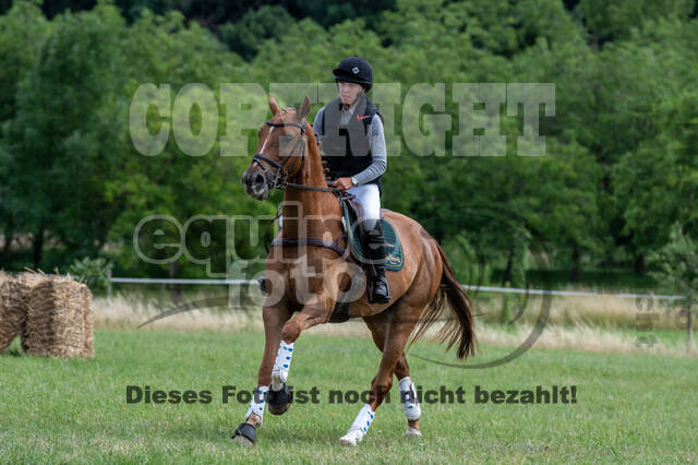 Bonn-Rodderberg Late-Entry-Vielseitigkeit (30.06.2020)