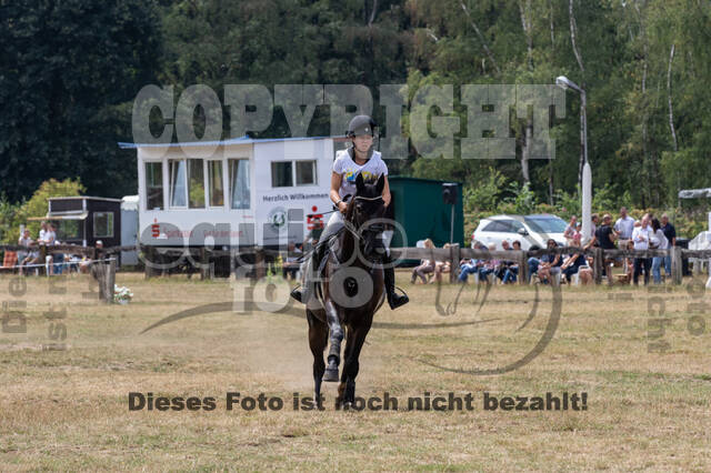 Late-Entry Vielseitigkeit Hamminkeln/Wesel (01.+02.08.2020)
