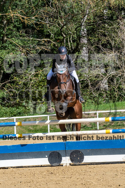 RFV Dinslaken-Hiesfeld (Herbstturnier)