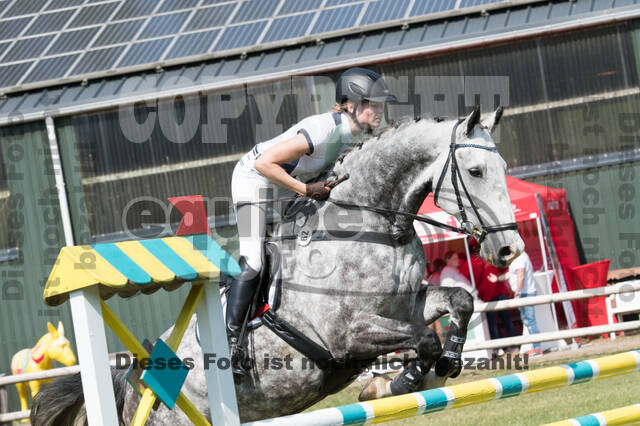 Vielseitigkeitsturnier ZRuFV von Lützow Hamminkeln