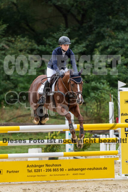 Vielseitigkeit RSV Wesel Obrighoven (26.+27.09.2020)