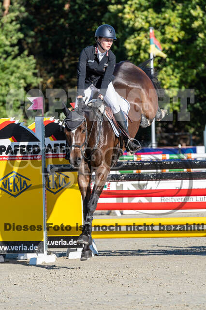 Deutsche Meisterschaft Vielseitigkeit (Luhmühlen)