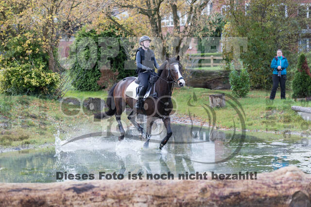IGV Lehrgang der Sieger der Cups mit Frank Ostholt