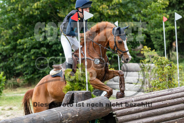 Late-Entry-Vielseitigkeit Langenfeld (11.+13./14.06.2020)