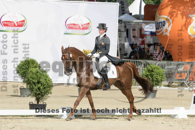 FEI European Championship Eventing 2017