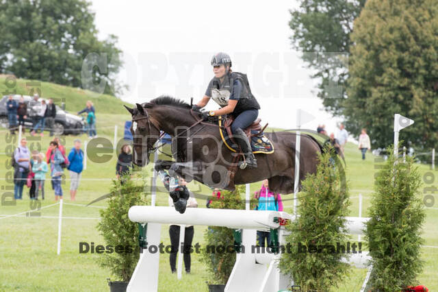 FEI European Championship