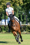 Kronenberg - De Peelbergen (August 2020)