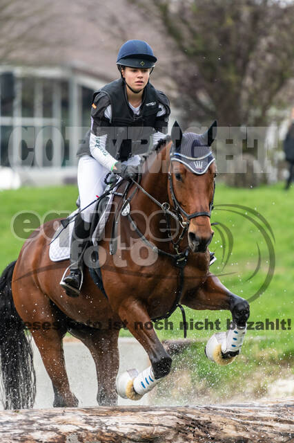 Goldene Schärpe 2020 - Pferde