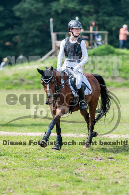 Goldene Schärpe 2021 - Ponys